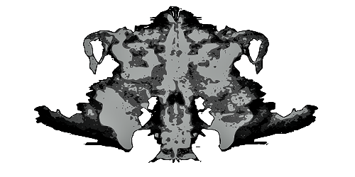 ¿Qué es el test de Rorschach?