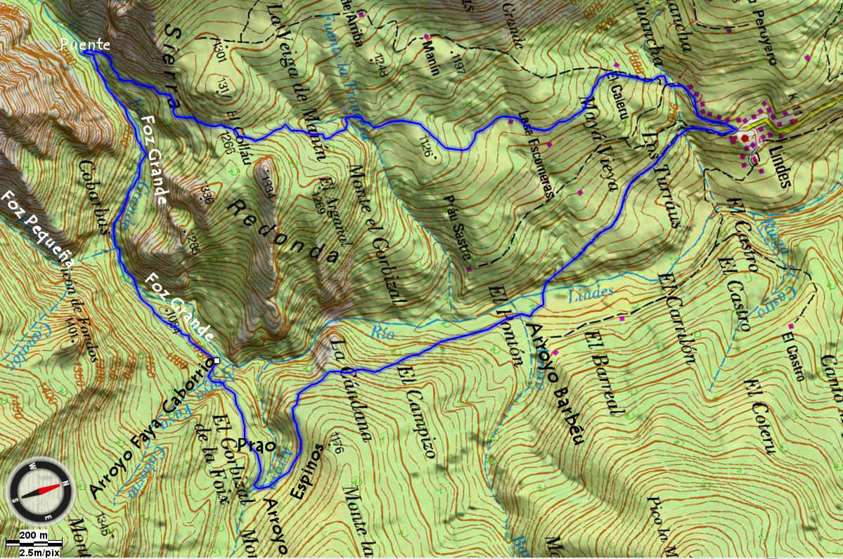 Mapa 4 - Topográfico Hayedo de Lindes en detalle Mapa 4 - Topográfico Bosque de Lindes