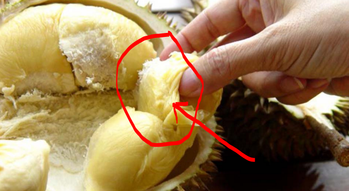 7 Manfaat 'AJAIB' Makan Buah Durian Untuk Kesehatan Tubuh  Viral Sehat