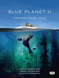 Blue Planet II Poster