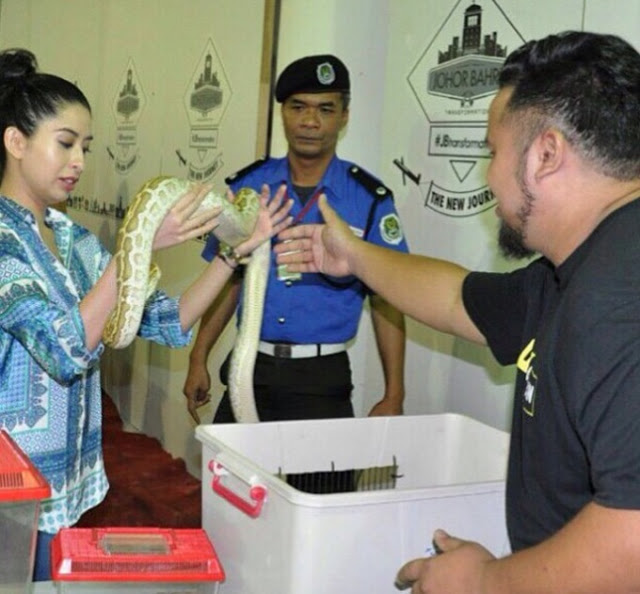 Tunku Aminah Suka Kucing dan Haiwan Lain Tunku Aminah Suka Kucing dan Haiwan Lain