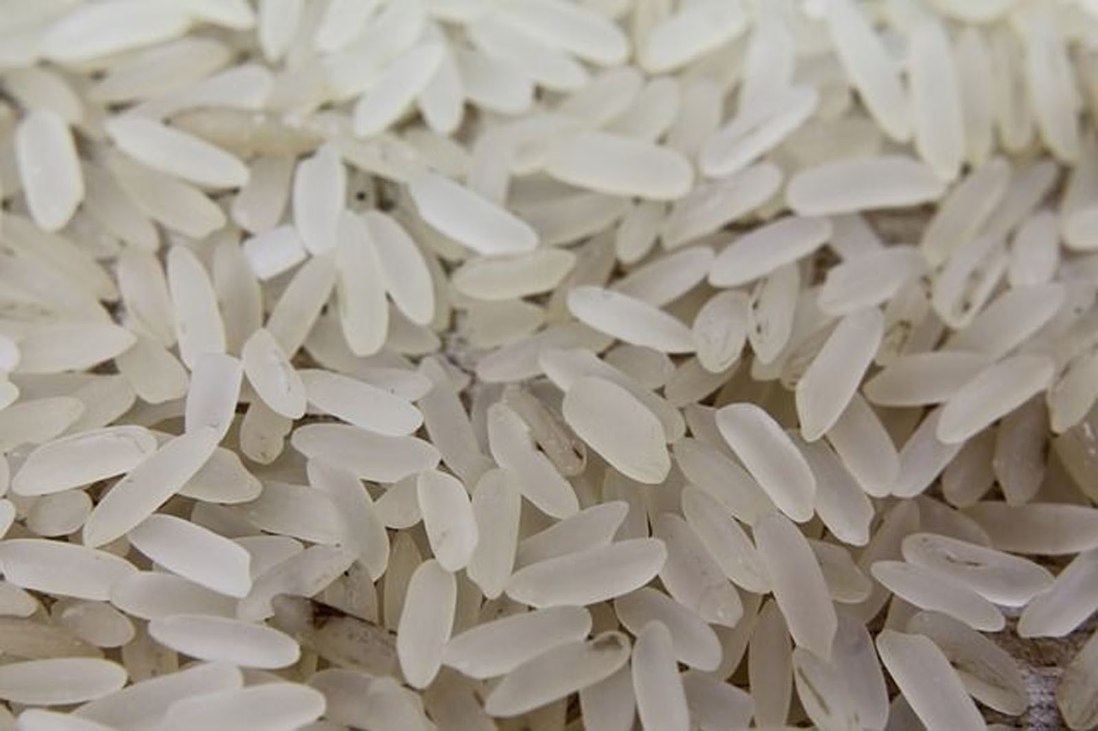 Caution, fake rice How to recognize a synthetic product Caution, fake rice How to recognize a synthetic product