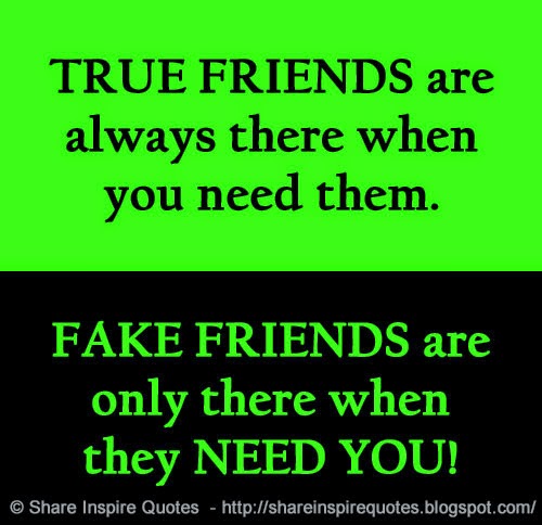TRUE FRIENDS are always there when you need them. FAKE FRIENDS are only ...