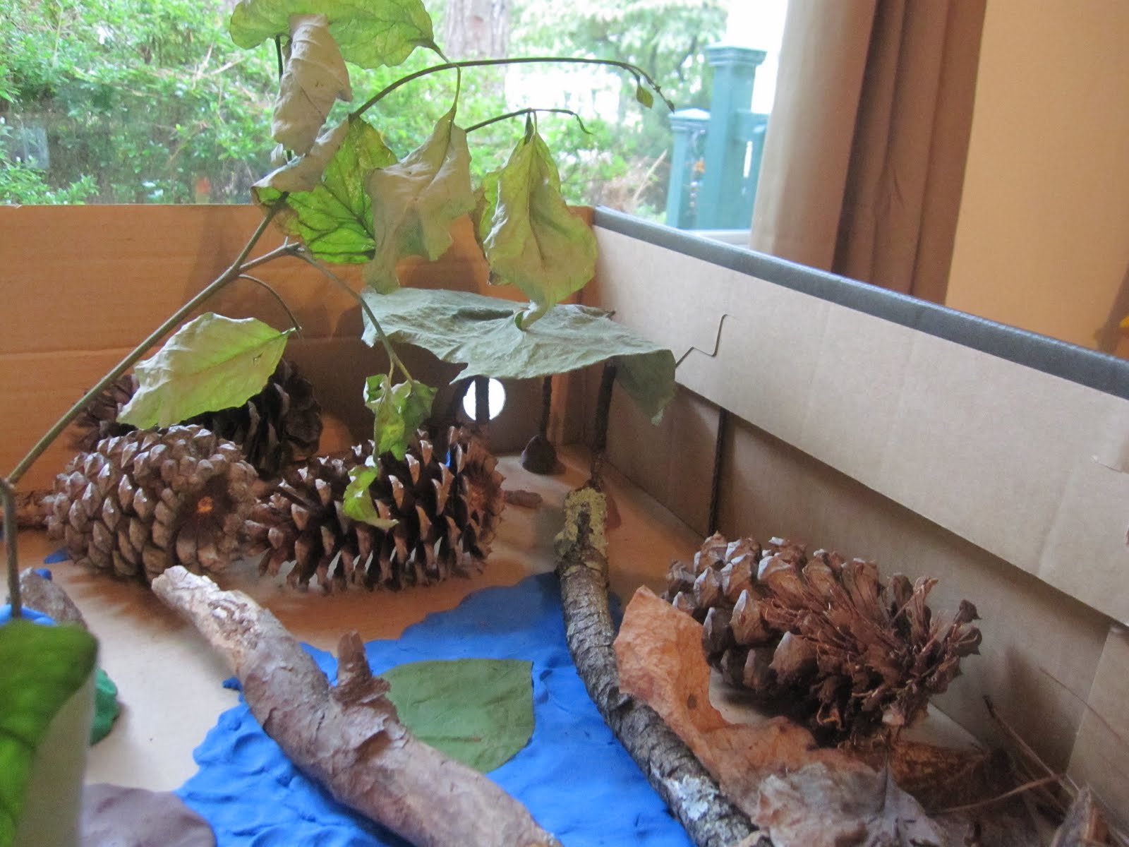 Animal Habitat Pictures