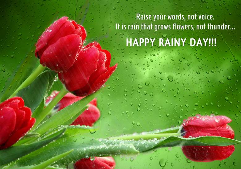 SMS POETRY SHAYARI WISHES PORTAL Happy Rainy Day Wishes SMS Messages 