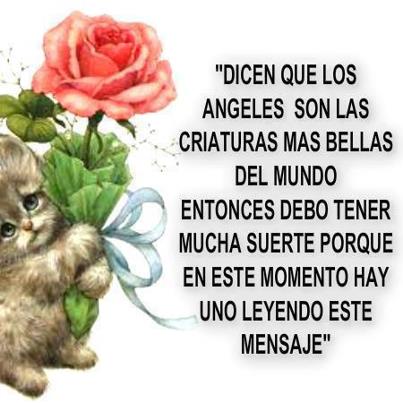 imágenes de ángeles con frases niño blanco flores