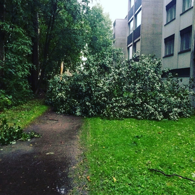 Tilkusta paita ilman kaavaa