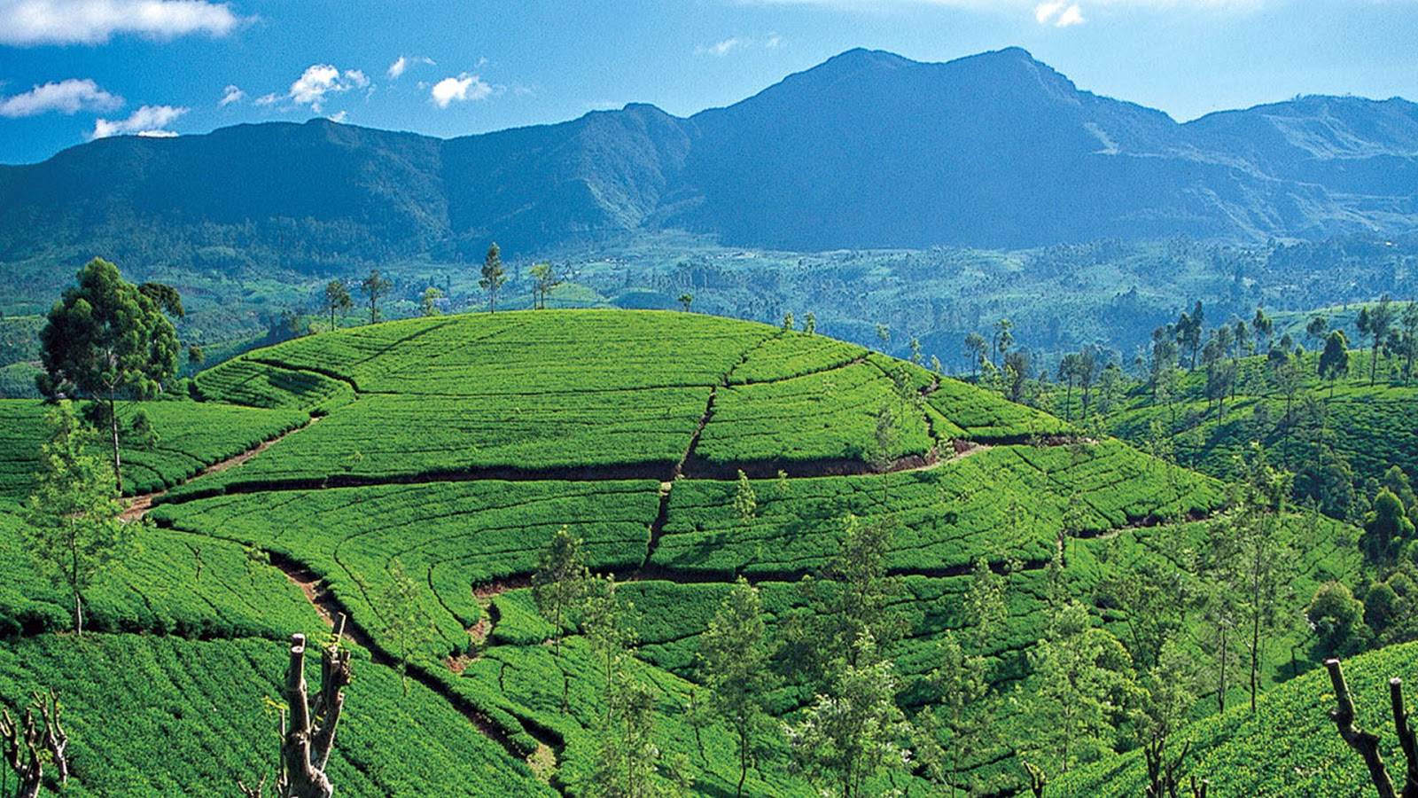 Awesome Sri Lanka HD Wallpaper Free Download