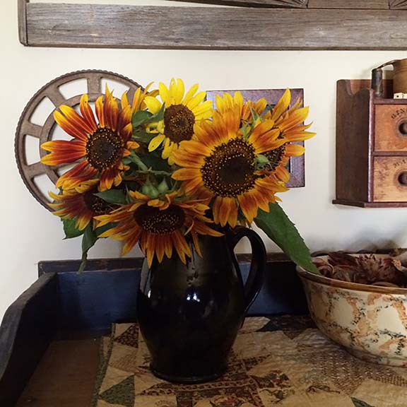 Kansas Troubles Quilters More Sunflower Song Days of Summer