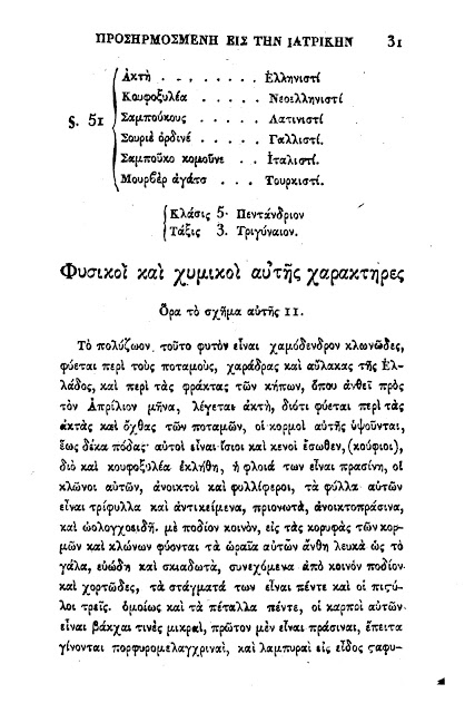 Σαμπούκος: Το βότανο για κρυολογήματα