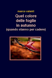 Quel colore delle foglie in autunno