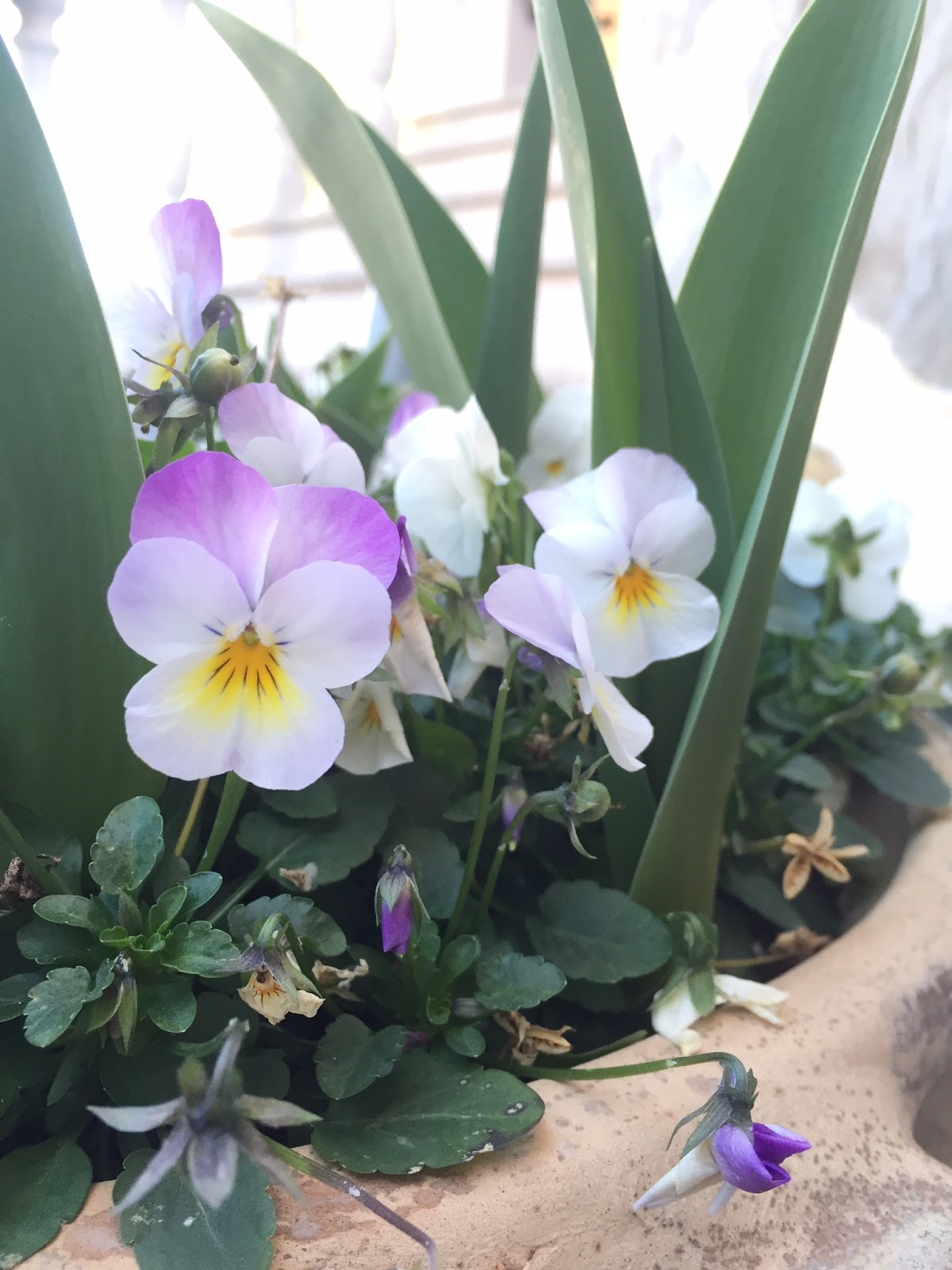 Las labores de Mercedes marzo 2016