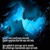 Meri chahat shayari hd image for gf and bf