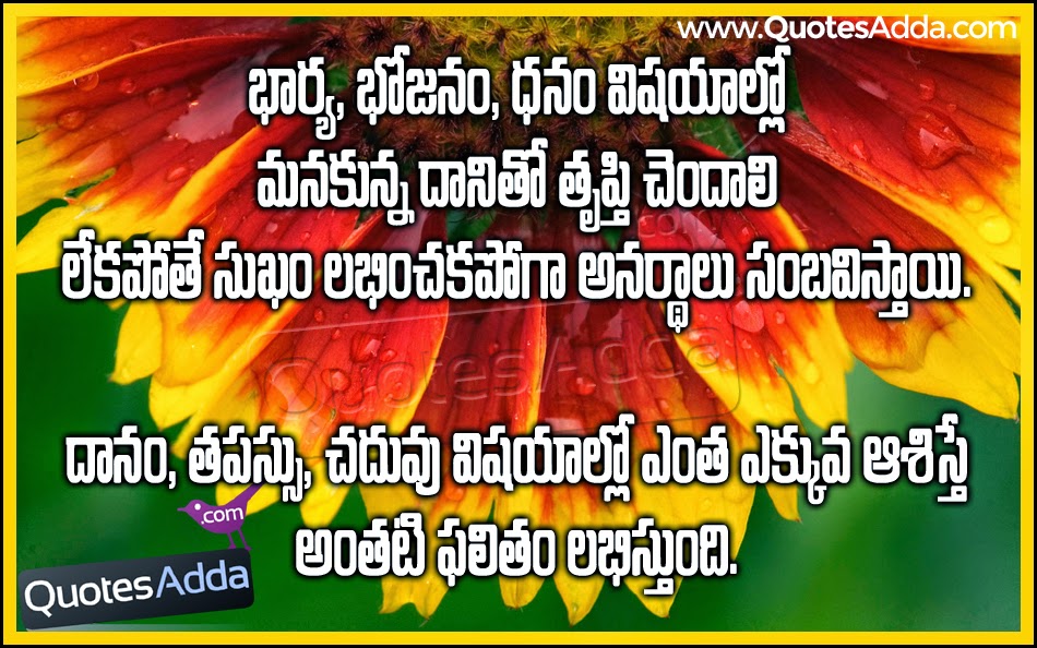 nice-telugu-wife-quotes-study-quotes-thoughts