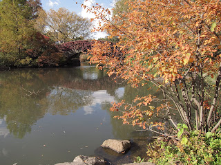 Central Park, the Pond, Gapstow Bridge