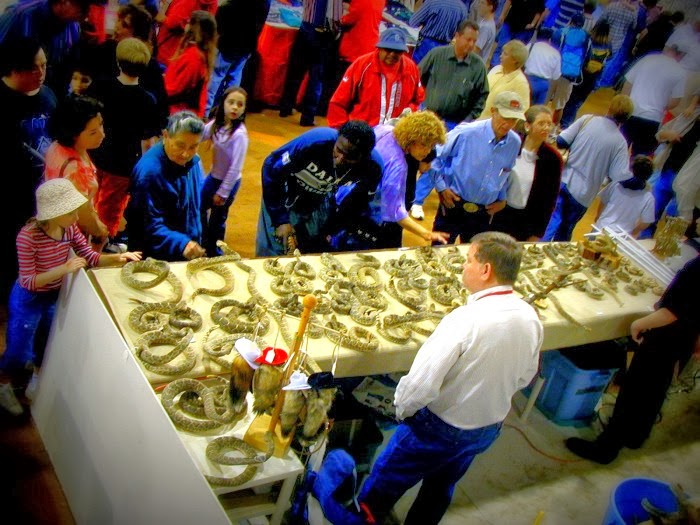 Durango Texas Sweetwater Rattlesnake Roundup Advocates Do Not Want A