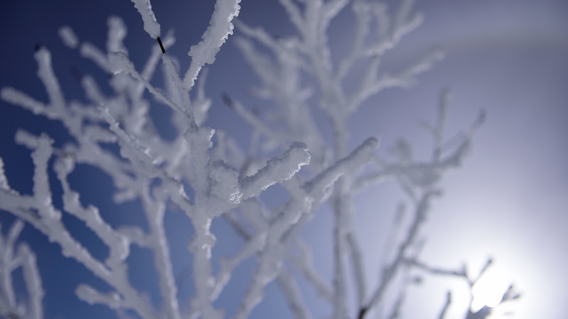 Cold Mornings