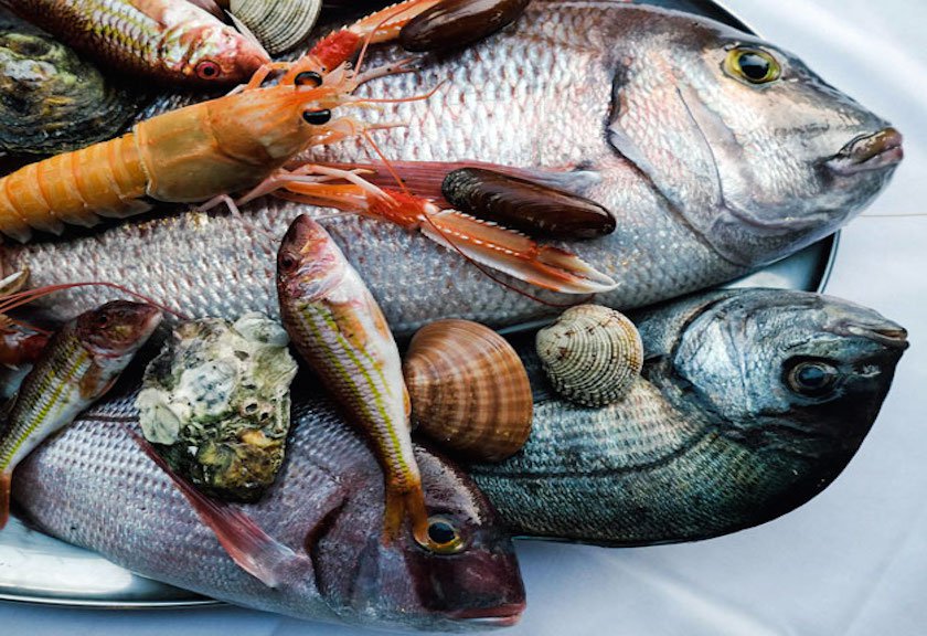 Reksanews Tren Konsumsi Ikan Meningkat