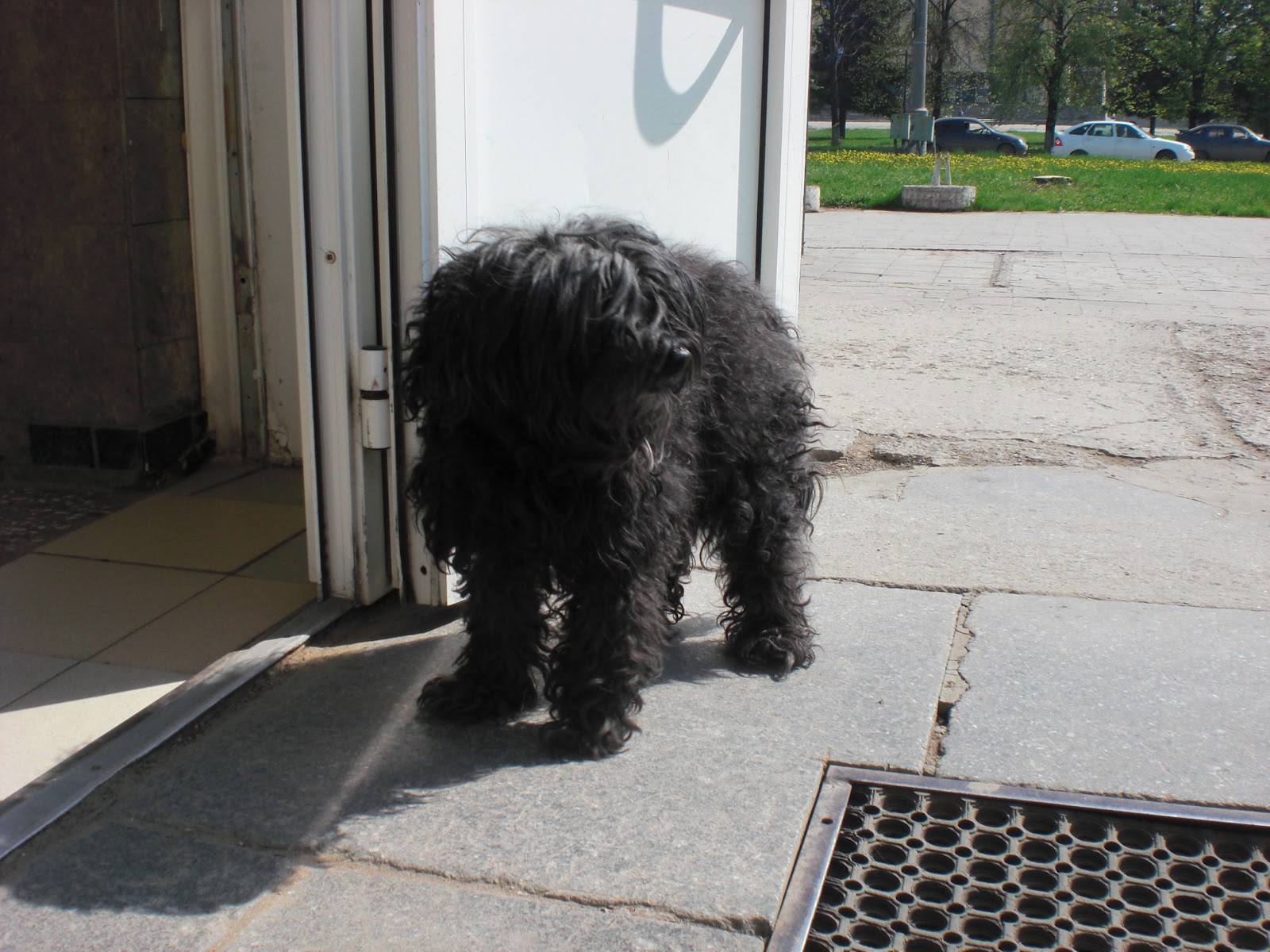 Анне в Тольяатти 2012