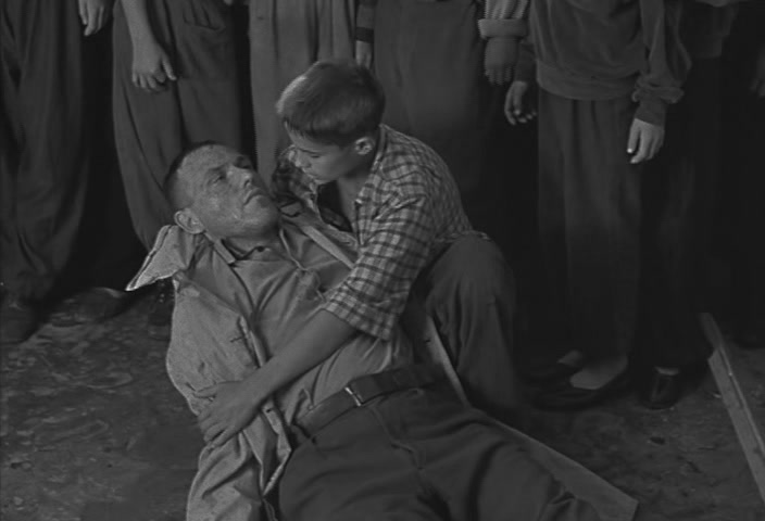 чужая белая и рябой содержание