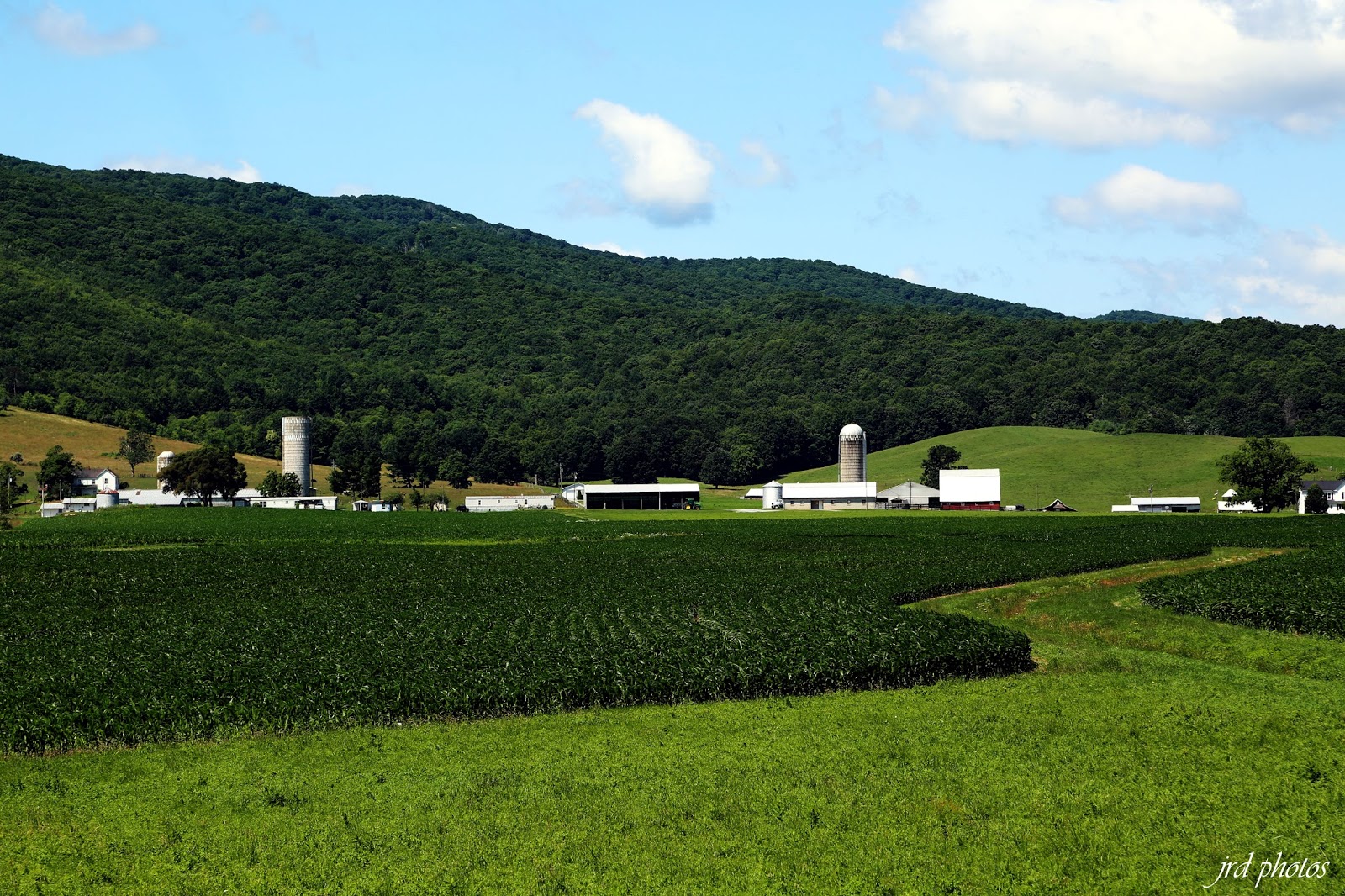 Just A Pic "Rural Scene in Rural Retreat, Va."