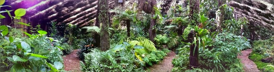 Simpson Shadehouse - Adelaide Botanic Gardens