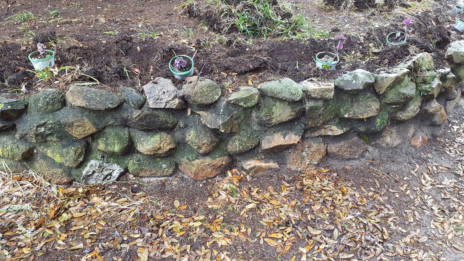 Ocracoke Island Journal Ballast Stones