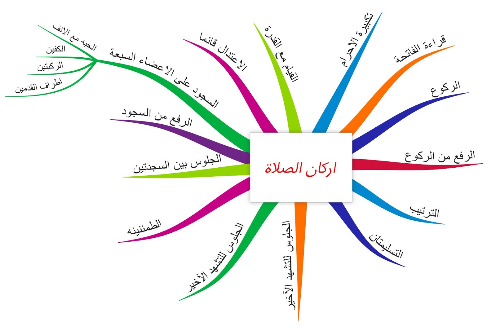 أركان الصلاة | خريطة ذهنية 11%2B%D8%A7%D8%B1%D9%83%D8%A7%D9%86