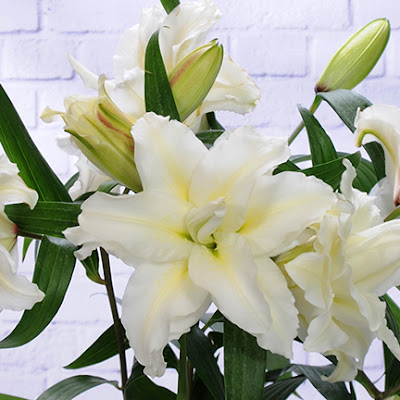 American Grown Wedding Flowers Sun Valley