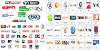 Sky Sport RAI Premium NPO Ziggo Viasat Live
