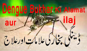 Dengue Bukhar ki Alamat Ilaj aur Bachne ke tarike