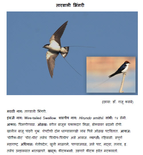 World Tourist Destinations Bird information in marathi