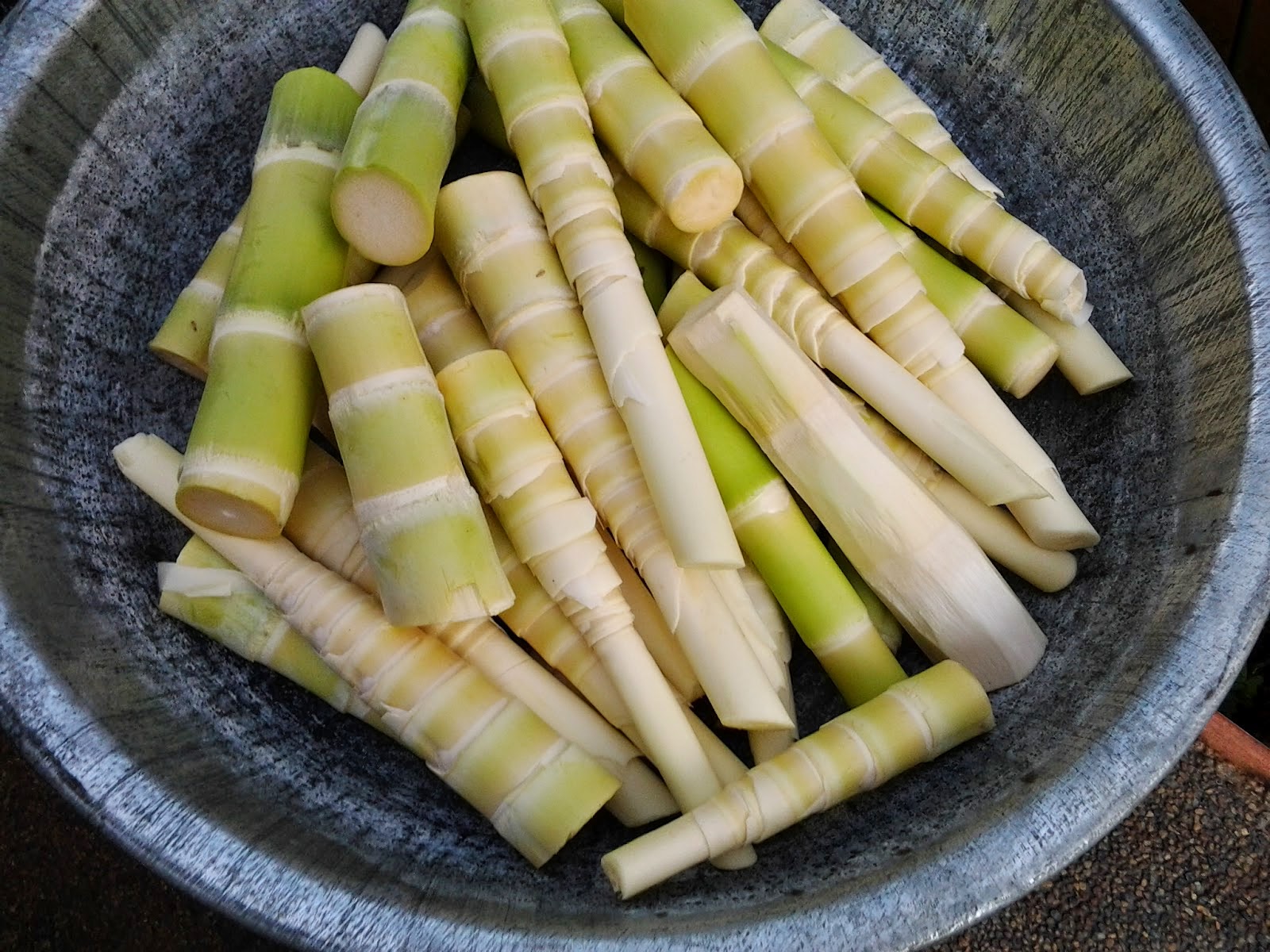 REBUNG (TUNAS BAMBU, MAKANAN UNIK ASIA) REBUNG (TUNAS BAMBU, MAKANAN UNIK ASIA)