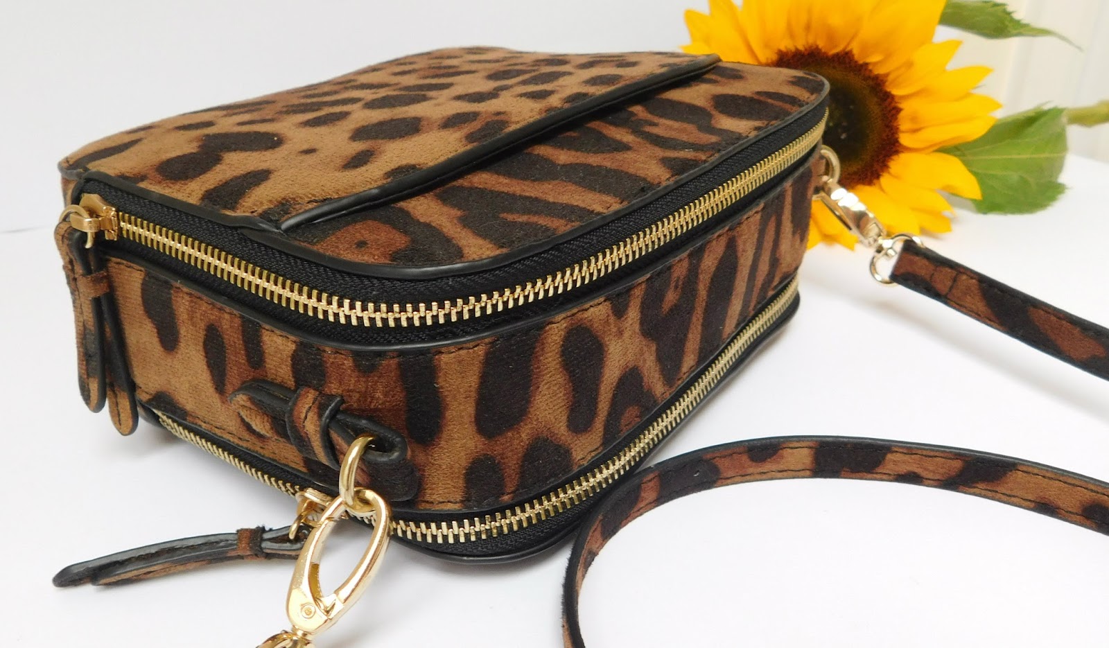 A spot of leopard - all the zips A spot of leopard - all the zips