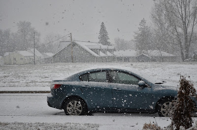 Ready or ot winter is here! Photo by Trisha Field