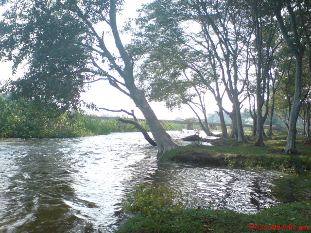 Cheranmahadevi An Iconic View Click at river road Thamirabarani; brief