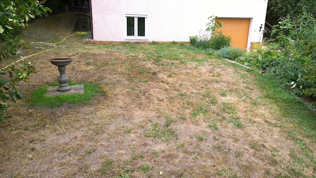 Wüste im Vorgarten 2015 (c) by Joachim Wenk Wüste im Vorgarten 2015 (c) by Joachim Wenk