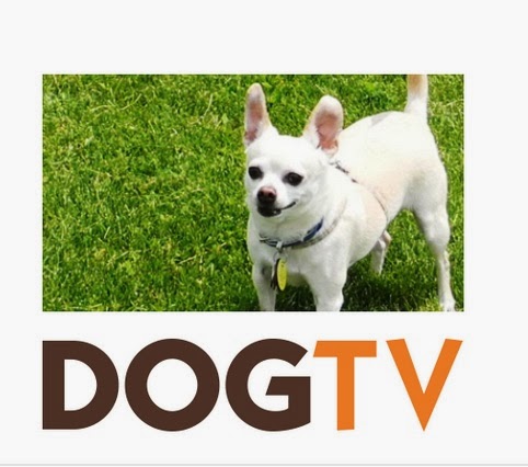 DogTv