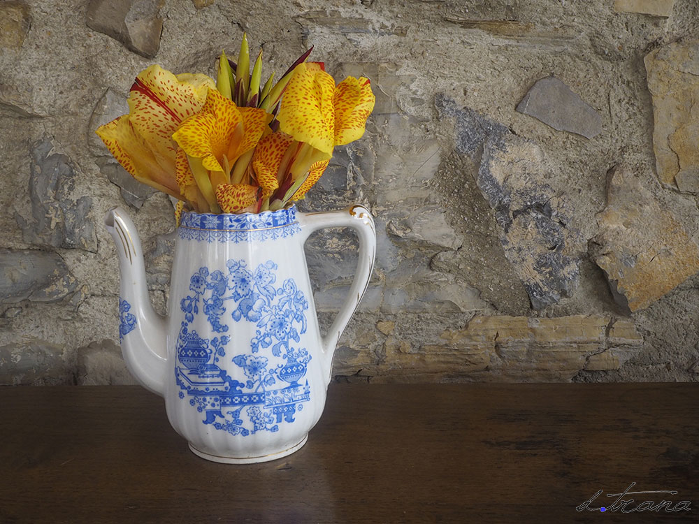 Composición; pieza de loza antigua en este caso de la marca Santa Clara modelo Bleu con flor de canna variedad "Cleopatra" Composición; pieza de loza antigua en este caso de la marca Santa Clara modelo Bleu con flor de canna variedad "Cleopatra"