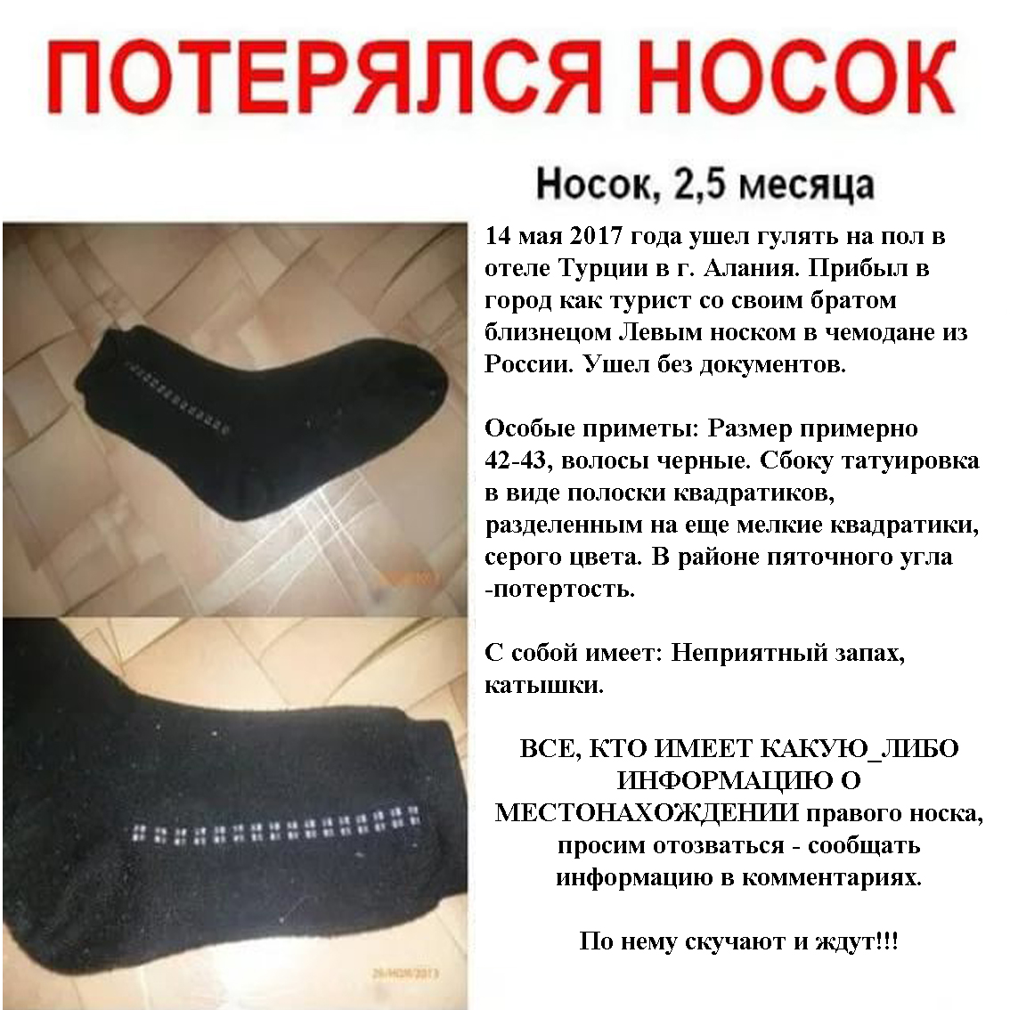 левый носок на правую ногу. носки мужские. носки право лево. носки мужские с надписью левый и правый. второй носок.