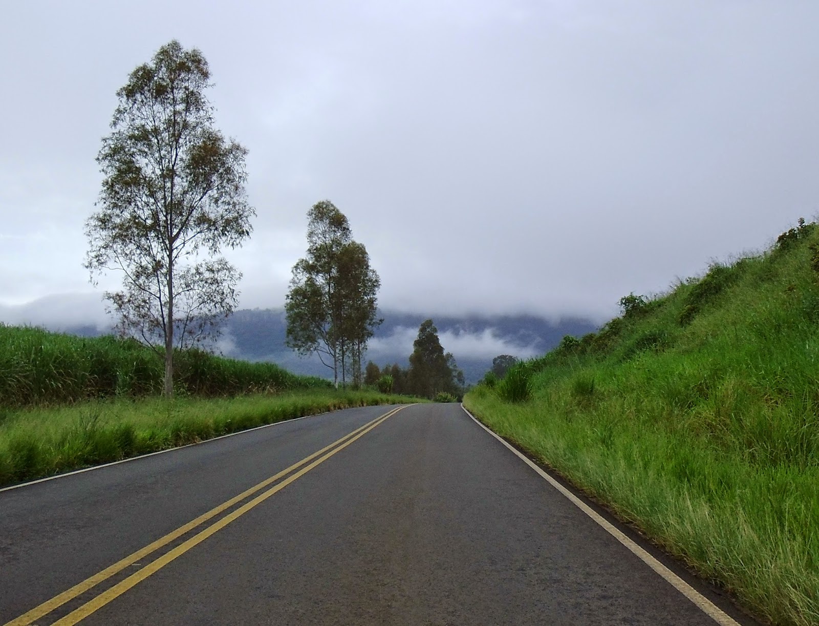 A Via Floresta Atlântica, Ubatuba e Santa Maria da Serra, SP. A Via Floresta Atlântica, Ubatuba e Santa Maria da Serra, SP.