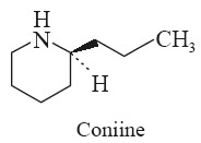 Coniine