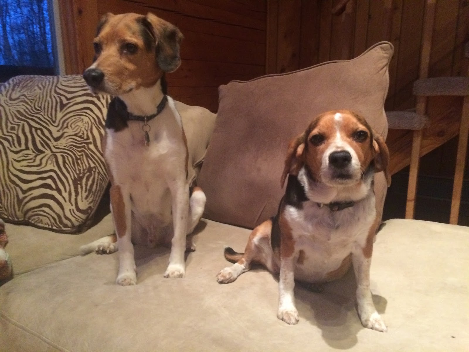 An Anniversary, A Birthday and a Surprise