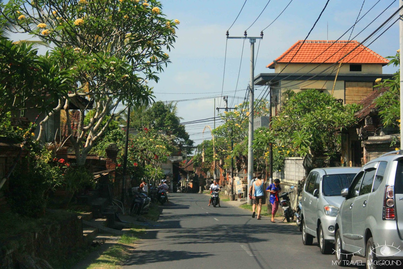 My Travel Background : que visiter dans le Nord de Bali?