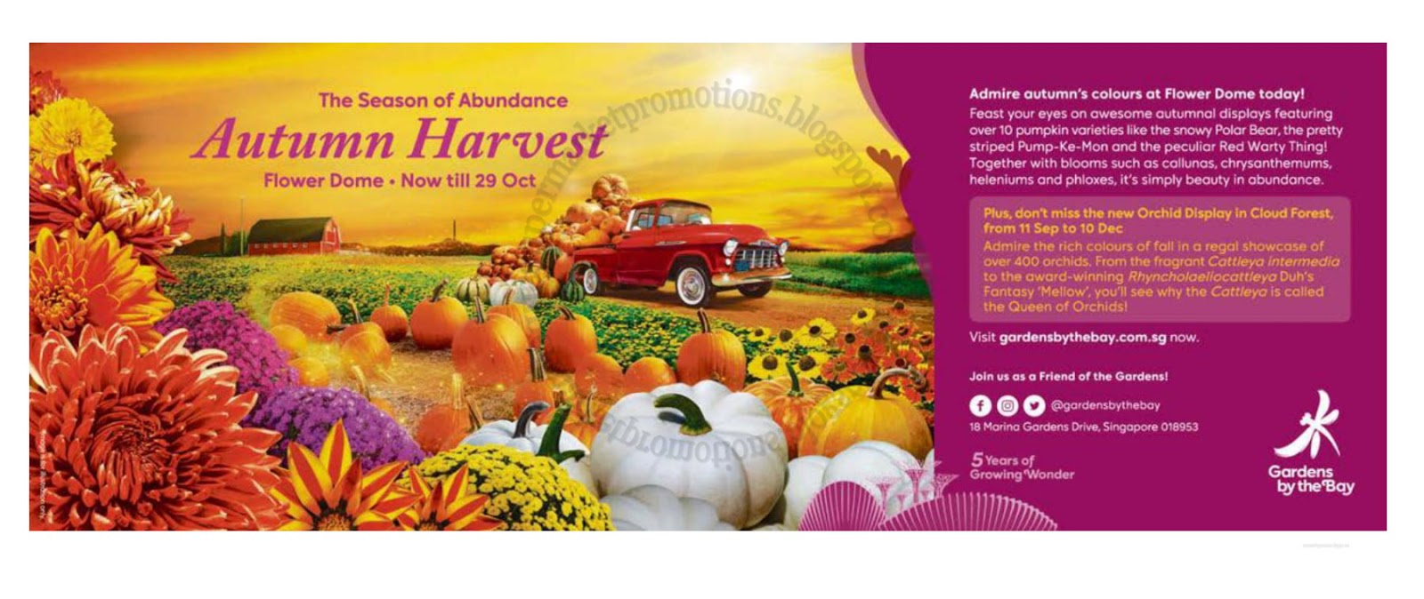 Gardens By The Bay Autumn Harvest 01 September 29 October 2017