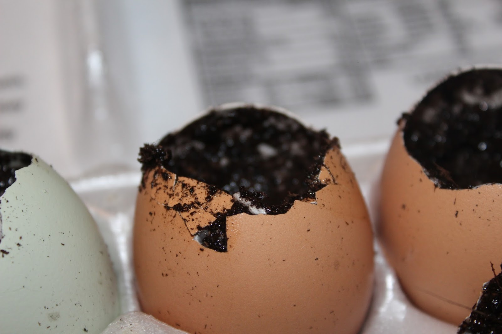 Nourished Soul Guru Recycled Egg Shells For Calcium Rich Soil