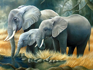Elephant Wallpapers