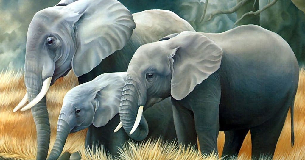 Mewarnai Gambar Gajah Mewarnai Gambar