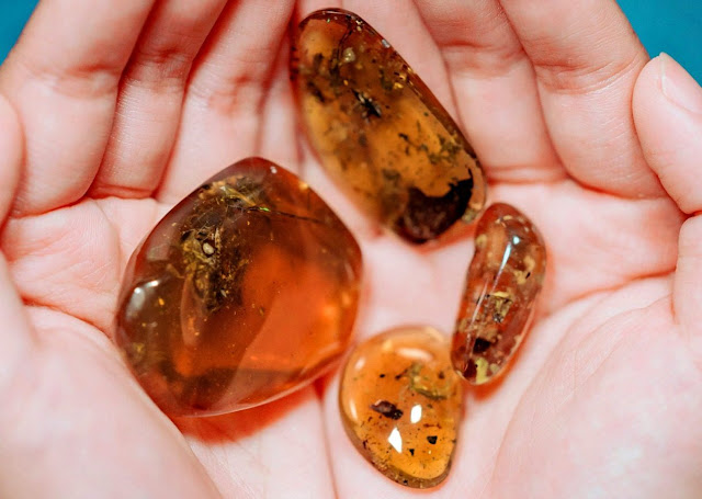These Are the Most Ancient Frogs Ever Found Preserved in Amber