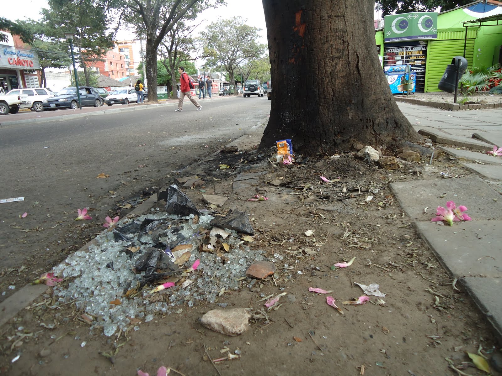 la basura en santa cruz: LA BASURA EN SANTA CRUZ
